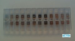 Flachsteckleiste Breit 6,3mm